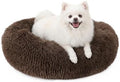 MIXJOY Orthopedic Dog Bed Comfortable Donut Cuddler Round Pet Beds Ultra Soft by MIXJOY