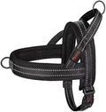 Didog No Pull Dog Harness for Medium Dogs, Breathable Mesh Padded by Didog
