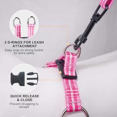 BEAUTYZOO No Pull Dog Harness and Leash Set - Image 2