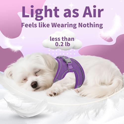 AIITLE Dog Harness and Leash Set, Step-in Puppy Pet Vest, Pure Purple XS - Image 5
