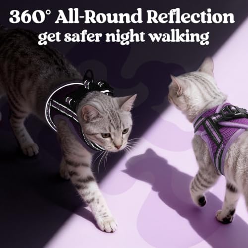 rabbitgoo Cat Harness and Leash Set, Step-in Soft Vest - Image 5