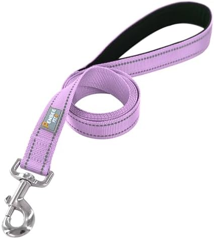 6 FT Basic Dog Leash for Medium Dogs - Image 3