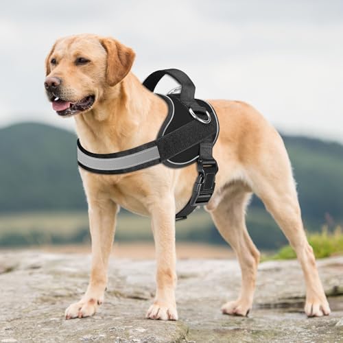 Haapaw Essential Dog Harness, No Pull Pet Vest - Image 3