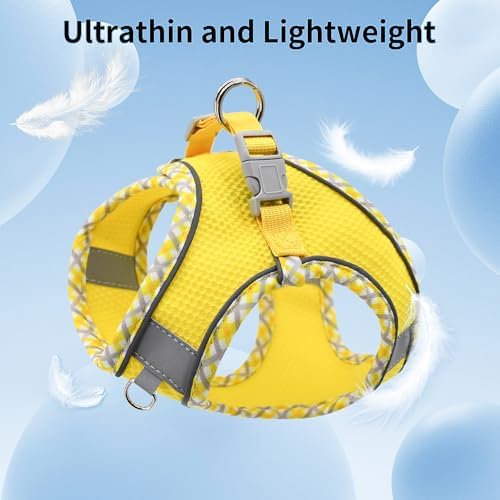 AIITLE Small Dog Harness and Leash Set - Image 6