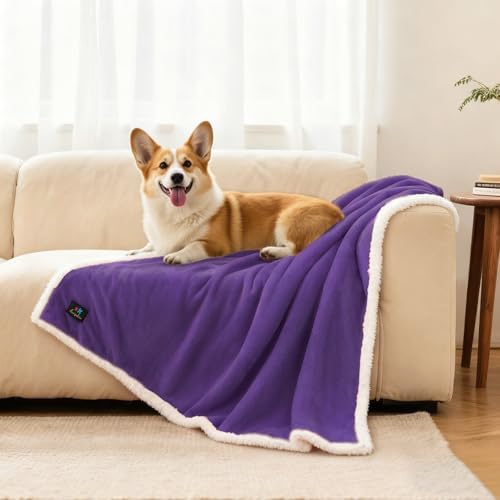 Luciphia Waterproof Bed Blanket Washable, Soft Sherpa Fleece Puppy Reversible - Image 6