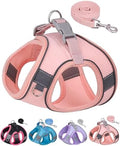 Dog Harness for Small Medium Sized Dog, Step in Puppy Harness and Leash Set by Aecllcea