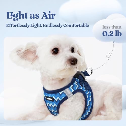 rabbitgoo Dog Harness Medium Sized and Leash Set, Step-in Puppy Pet Vest - Image 3