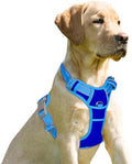 BARKBAY Dog Harness No Pull for Small Sized Dog Front Back Clips, Dog Vest by BARKBAY