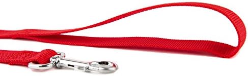 Nylon Dog Training Leash, Traction Rope, 4/5/6 Feet Long, 3/4 Inch 1 Inch Wide - Image 3