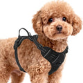 BARKBAY Dog Harness for Small Sized Dog No Pull 2 Leash Clips Dog Vest by BARKBAY