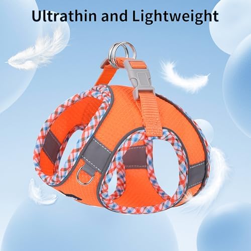 AIITLE Medium Dog Harness and Leash Set - Image 5
