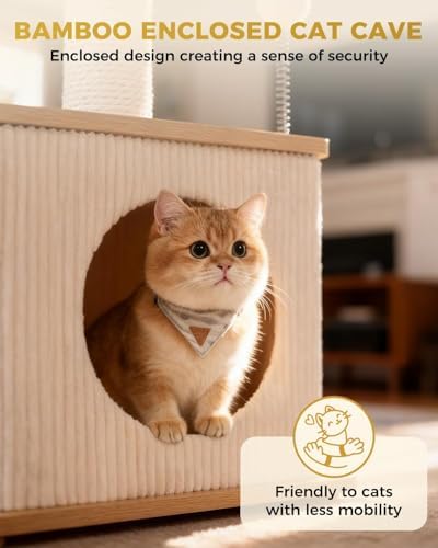 Small Cat Tree for Indoor Kittens - Image 3