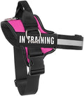 Essential Dog Harness, No Pull Pet Harness by Tsikavo