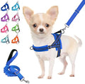 Lukovee Small Dog Harness and Leash Set, No Pull Soft Padded Vest by Lukovee