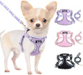 Lukovee Small Dog Harness and Leash Set, No Pull Lightweight Soft Mesh Vest by Lukovee