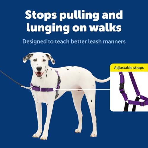 PetSafe Easy Walk Harness, No Pull Dog Harness, Medium/Large - Image 3