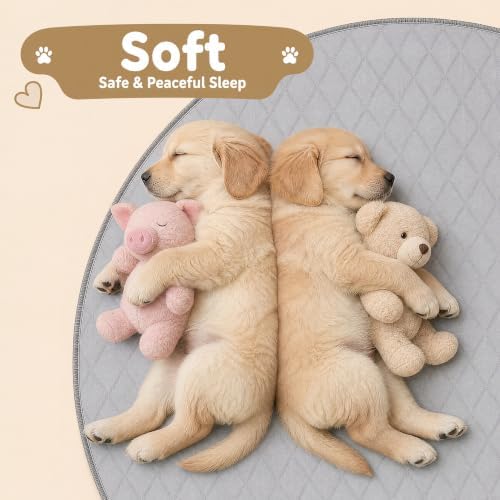 CoolShields Washable Pee Pads for Dogs, 2 Pack - Image 6