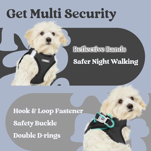 rabbitgoo Step-in Small Dog Harness, Puppy Vest - Image 6