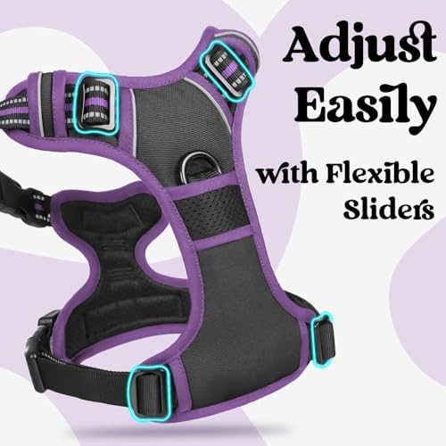 rabbitgoo Dog Harness for Large, Updated Easy On & Off - Image 3