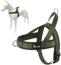 Plutus Pet No Pull Dog Harness for Large Dogs, Breathable Mesh Padded by PLUTUSPET