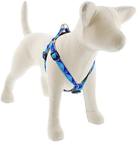 Lupine Reflective Step in Dog Harness 3/4" Wide Blue Paws by LupinePet