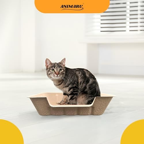 Disposable Litter Boxes - Image 7