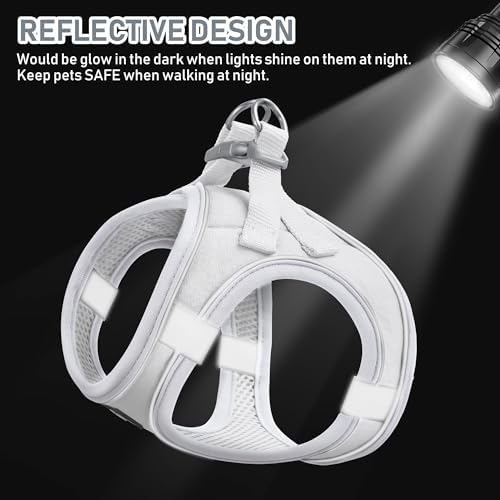 GAMUDA Small Pet Harness Collar and Leash Set, Step in No Chock No Pull Linen - Image 4