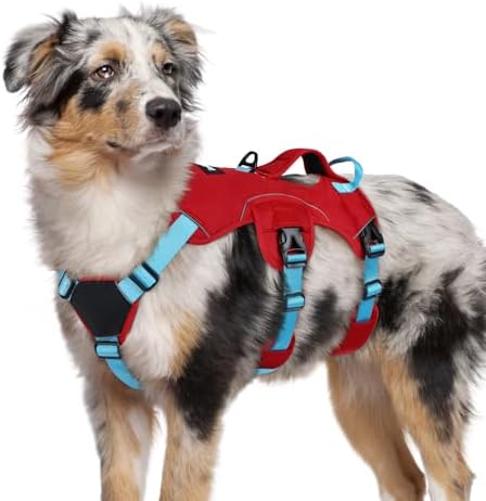 rabbitgoo Escape Proof Dog Harness by rabbitgoo