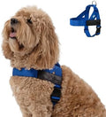 Dog Friendly Co. Dog Harness for Large Dogs by DogFriendly