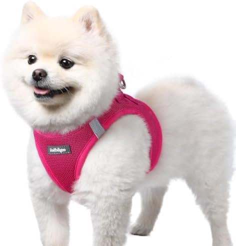 rabbitgoo Step-in Small Dog Harness, Puppy Vest by rabbitgoo