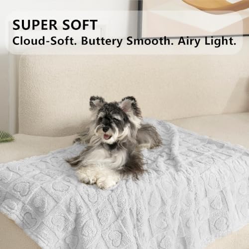 gogobunny Large Pet Blanket for Dogs Cats, Ultra Soft 300GSM Coral Fleece - Image 3