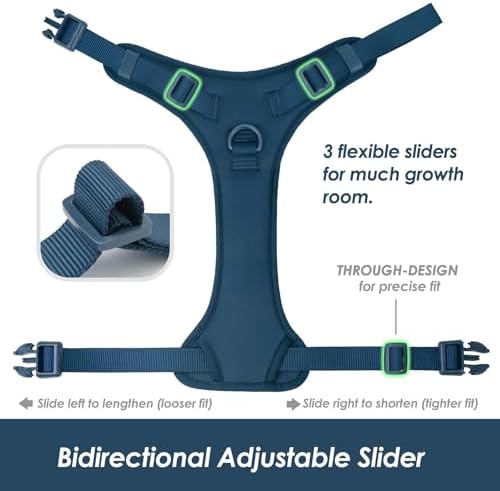 Sunraymascota No Pull Dog Harness - Image 4