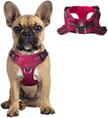 BARKBAY Dog Harness Medium Sized Dog, No Pull Puppy Harness, Step-in Dog Vest by BARKBAY