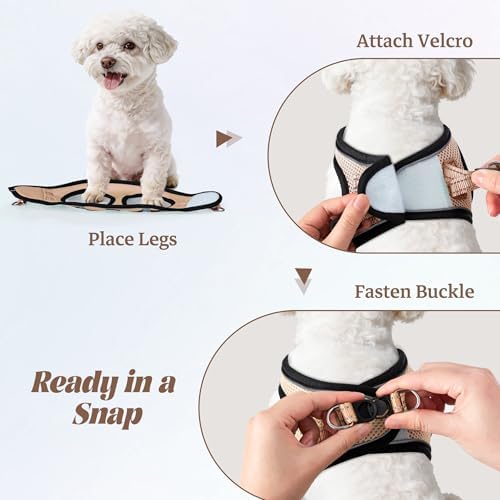 No Pull Dog Puppy Harness and Leash Set Reflective Mesh Vest XX-Small - Image 4