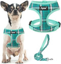 PUPTECK Small Dog Harness and Leash Set No Pull by PUPTECK