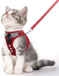 Cat Harness and Leash Set for Walking Escape Proof Vest for Kitten by NCMAMA