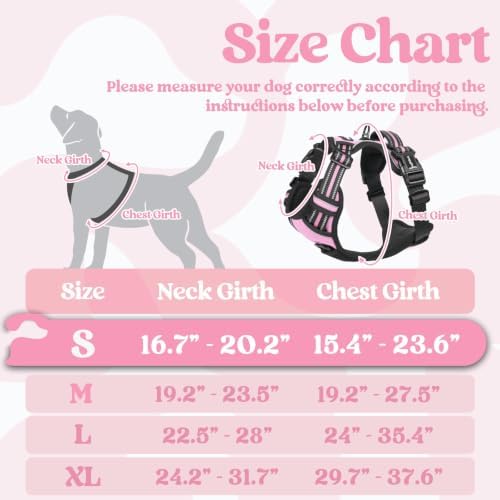 rabbitgoo Dog Harness Small Sized, Updated Easy On & Off - Image 2