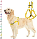 PUPTECK No Pull Dog Harness Medium Sized Step-in Adjustable Puppy Vest by PUPTECK