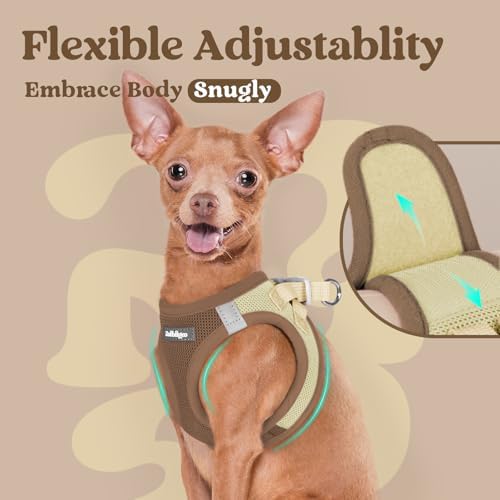 rabbitgoo Step-in Small Dog Harness, Puppy Vest - Image 5