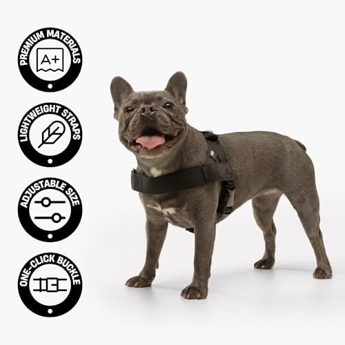 Dog Friendly Co. Dog Harness for Large Dogs, Adjustable - Image 4