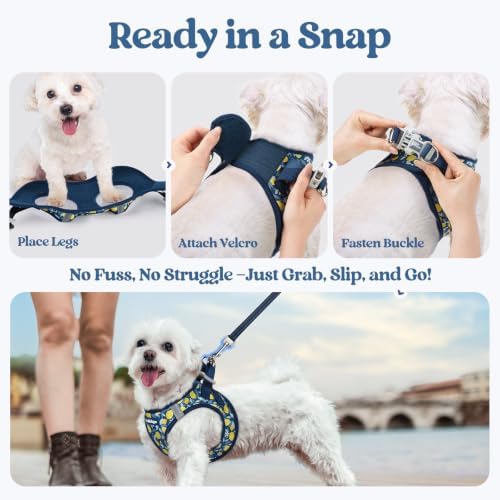 rabbitgoo Dog Harness Small Sized and Leash Set, Step-in Puppy Pet Vest - Image 5