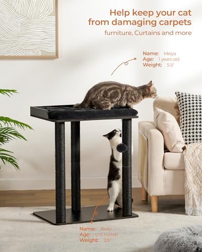 FourFurPets Modern Cat Tree for Large Cats, Full Sisal Cat Scratching Post - Image 2