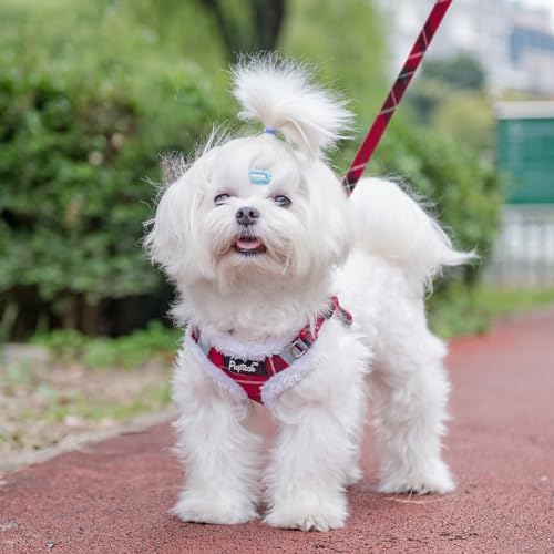 PUPTECK Dog Harness and Leash Set Small Sized, Step in No Pull Adjustable Puppy - Image 5