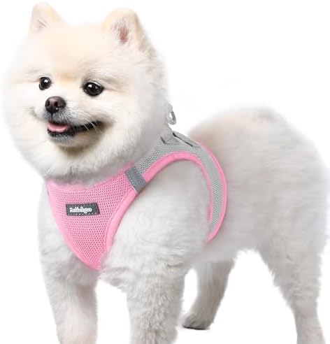 rabbitgoo Step-in Small Dog Harness, Puppy Vest by rabbitgoo