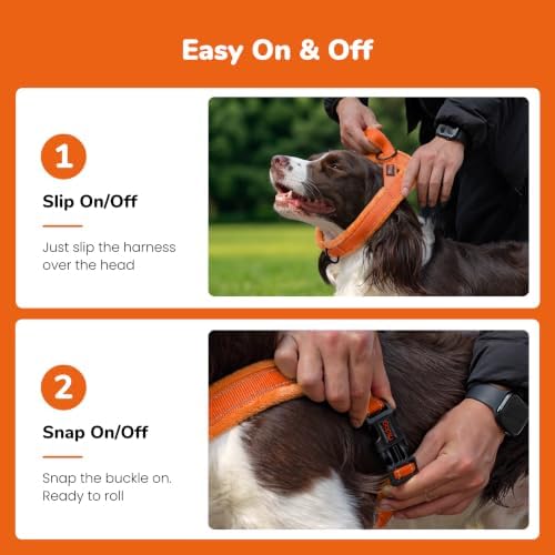Didog No Pull Dog Harness for Small Dogs, Soft Flannel Padded - Image 3