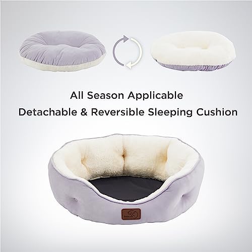 Bedsure Dog Beds for Small Dogs - Image 4