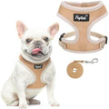 PUPTECK Small Dog Harness and Leash Set No Pull by PUPTECK