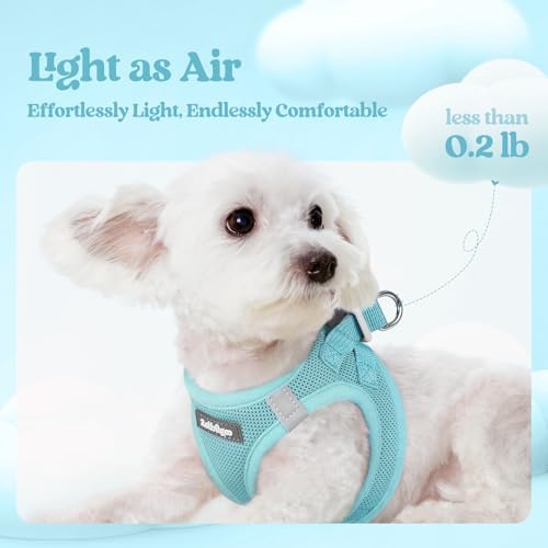 rabbitgoo Dog Harness Small Sized and Leash Set, Step-in Puppy Pet Vest - Image 4