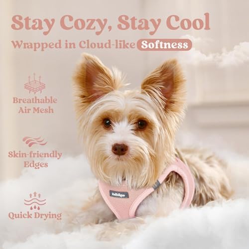 rabbitgoo Step-in Small Dog Harness, Puppy Vest - Image 2