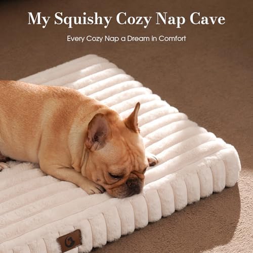 Large Orthopedic Dog Crate Bed - Image 2